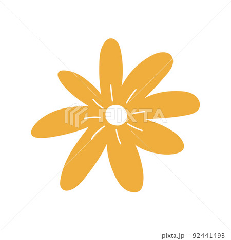 Cute yellow flower isolated on white background 92441493