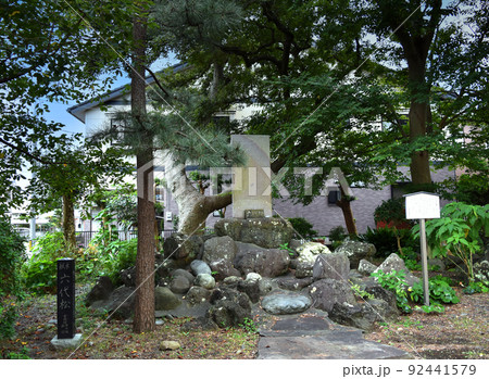 平清盛のひ孫六代を弔う六代松の碑（静岡県沼津市） 92441579