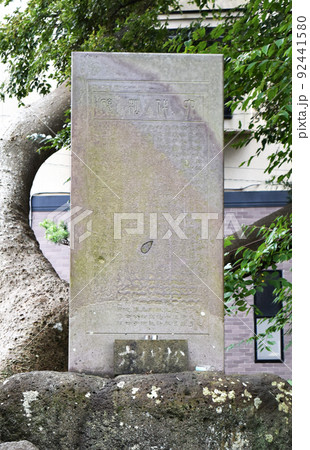 平清盛のひ孫六代を弔う六代松の碑(静岡県沼津市) 平清盛のひ孫六代を弔う六代松の碑(静岡県沼津市) 92441580