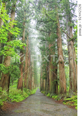 戸隠神社 奥社 戸隠神社 奥社 92442326