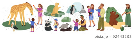 Zoo visitors. People in zoological garden. Exotic animals and human families. Safari park. Parent with children watching fauna. Kids feeding giraffe. Summer leisure. Garish vector set 92443232