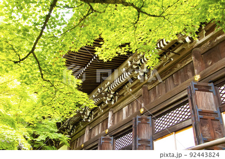 京都のイメージ 92443824