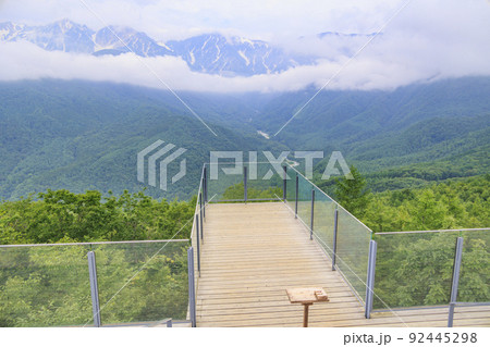 夏の岩岳マウンテンリゾート 92445298