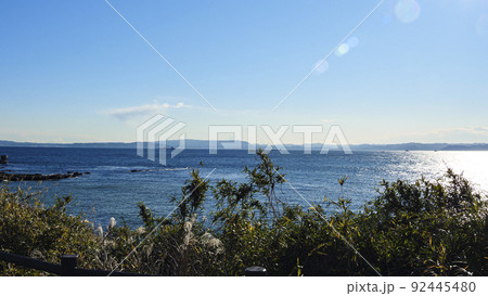 海 海 92445480