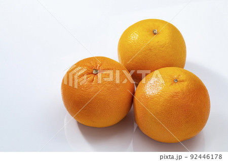 白バックのグレープフルーツ_ルビー 92446178