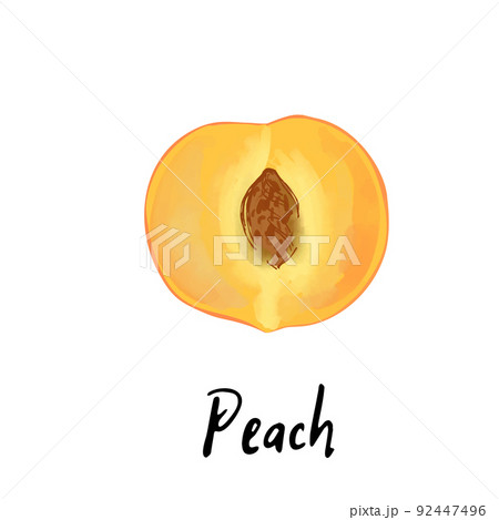Illustration of a peach isolated on a white 92447496