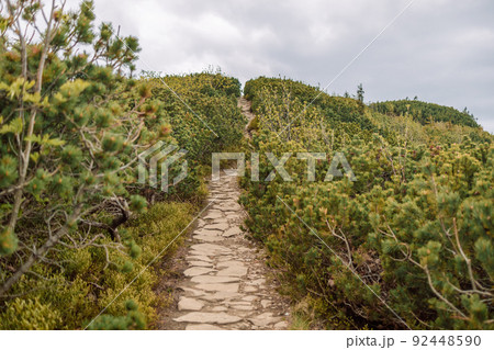 Beautiful landscape with pathway in the mountains forest at summer time. Hiking path in summer landscape in forest. Walking footpath or biking path, dirt road. Beautiful landscape with pathway in the mountains forest at summer time. Hiking path in summer landscape in forest. Walking footpath or biking path, dirt road. 92448590