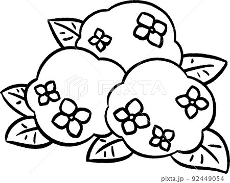 シンプルなあじさい③ 手描き風イラスト線画素材 シンプルなあじさい③ 手描き風イラスト線画素材 92449054