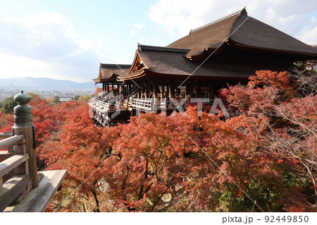 京都の清水寺・秋 92449850