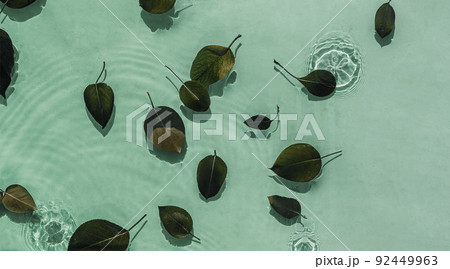 Closeup of green transparent clear calm water with green leaves. surface texture with splashes and bubbles. Trendy abstract summer nature background. Mint colored waves in sunlight. Closeup of green transparent clear calm water with green leaves. surface texture with splashes and bubbles. Trendy abstract summer nature background. Mint colored waves in sunlight. 92449963