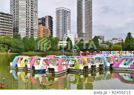 不忍池のスワンボート 東京 不忍池のスワンボート 東京 92450213