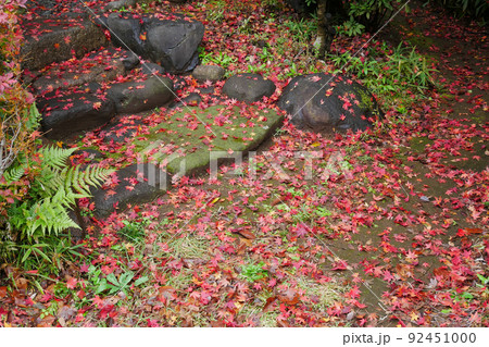 紅葉したもみじの落ち葉に覆われた庭園の石段のイメージ　～3:2バージョン 92451000