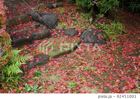 紅葉したもみじの落ち葉に覆われた庭園の石段のイメージ ~3:2バージョン 紅葉したもみじの落ち葉に覆われた庭園の石段のイメージ ~3:2バージョン 92451001