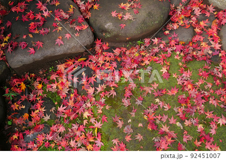 紅葉したもみじの落ち葉に覆われた庭園の石段のイメージ　～3:2バージョン 92451007