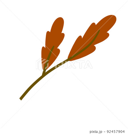 Branch with orange leaves. Plant design. Branch with orange leaves. Plant design. 92457904