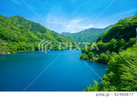 奥四万湖　四万ブルー　四万川ダム 　天羽からの眺め　新緑の季節　 92460677