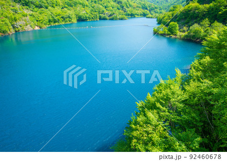 奥四万湖　四万ブルー　四万川ダム 　天羽からの眺め　新緑の季節　 92460678