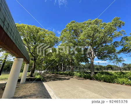大井ふ頭中央海浜公園スポーツの森 東京都品川区八潮 大井ふ頭中央海浜公園スポーツの森 東京都品川区八潮 92465376