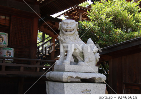 北九州市小倉北区の八坂神社の狛犬 北九州市小倉北区の八坂神社の狛犬 92466618
