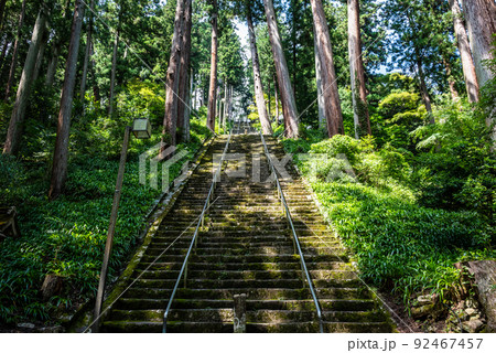 山梨の聖地!身延山久遠寺 山梨の聖地!身延山久遠寺 92467457