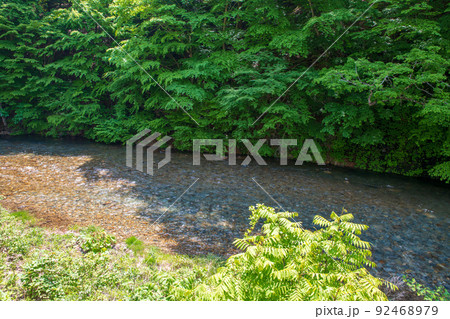 四万川 四万川ダム下 日向見公園付近の風景 新緑の季節 四万川 四万川ダム下 日向見公園付近の風景 新緑の季節 92468979