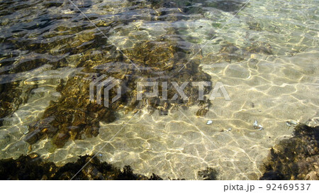 澄んだ海と海底の貝殻 澄んだ海と海底の貝殻 92469537