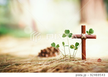 クロス フル 森 92469543