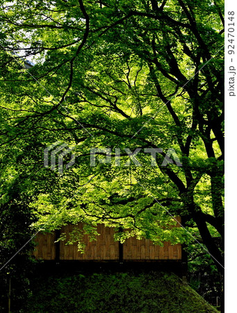 お茶屋敷跡の風景 92470148