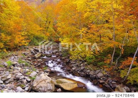 紅葉が見頃を迎えた秋の照葉峡 Ver1 紅葉が見頃を迎えた秋の照葉峡 Ver1 92470846