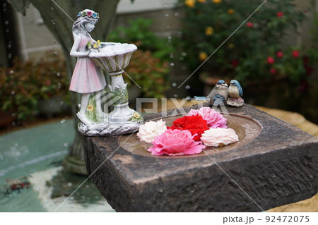 バラの庭園 92472075