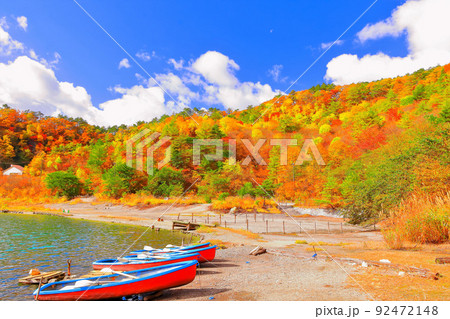 紅葉の潟沼 紅葉の潟沼 92472148