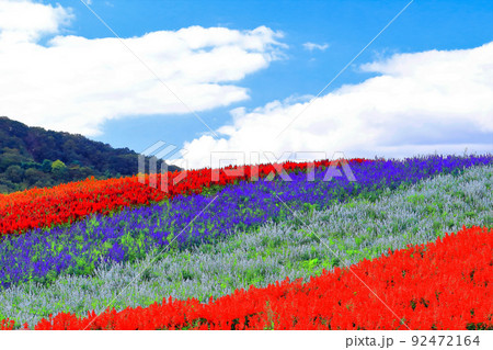 鮮やかな満開の花畑 92472164