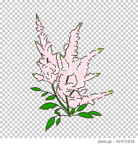 Astil Bet Astil Bet 92472838