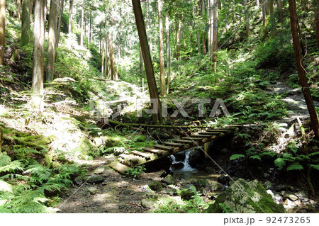 高水山登山道にて（東京都青梅市） 92473265