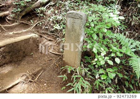 高水山登山道の八合目石柱(東京都青梅市) 高水山登山道の八合目石柱(東京都青梅市) 92473269