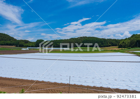 山中の農場【長野県】 山中の農場【長野県】 92473381