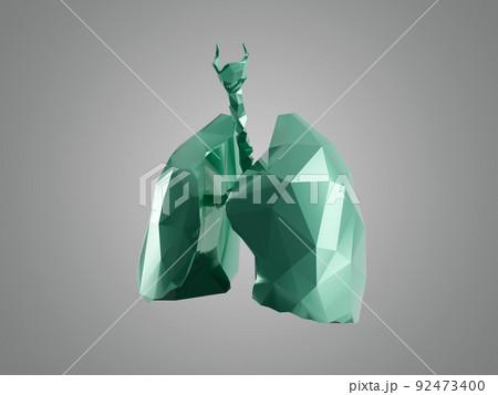 Stylized human low poly lungs 92473400