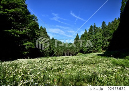 半夏生園(岡田の谷)　【奈良県御杖村】 92473622