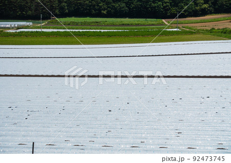 山中の農場【長野県】 山中の農場【長野県】 92473745