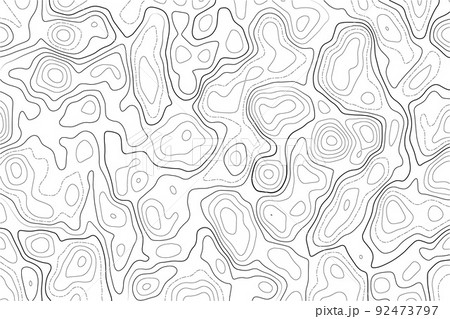 Topography map on white background. Contour line abstract terrain relief texture. Geographic wavy landscape. Vector illustration. 92473797
