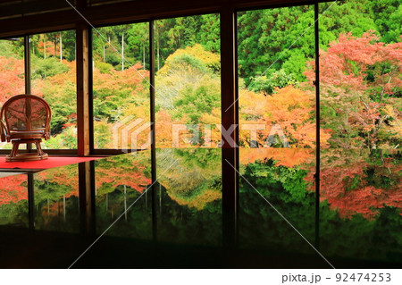 秋の環境芸術の森 紅葉風景 秋の環境芸術の森 紅葉風景 92474253