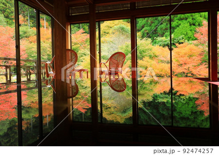 秋の環境芸術の森 紅葉風景 秋の環境芸術の森 紅葉風景 92474257