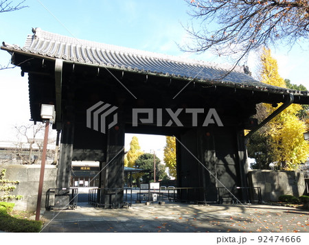 イチョウの黄葉に彩られた12月の寛永寺旧本坊表門 イチョウの黄葉に彩られた12月の寛永寺旧本坊表門 92474666