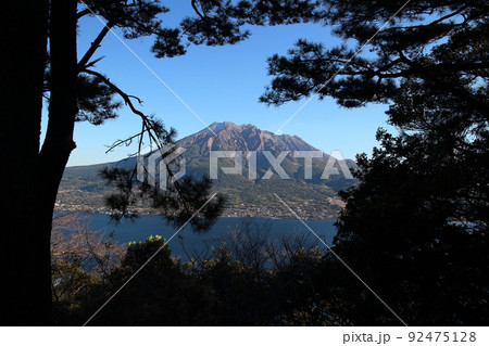 松の隙間に見える晴の桜島 松の隙間に見える晴の桜島 92475128