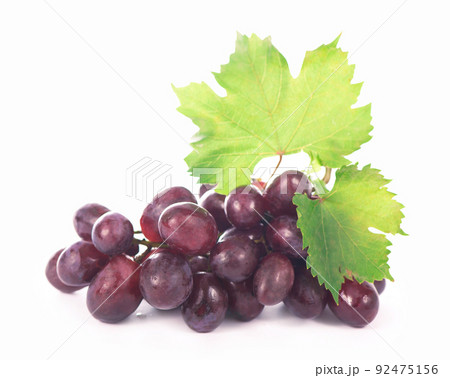 black grapes isolated on the white background black grapes isolated on the white background 92475156