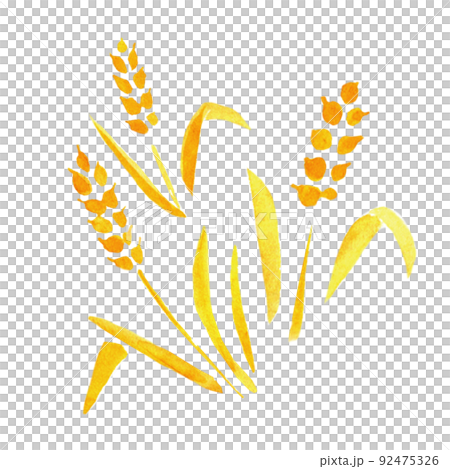 Bread watercolor illustration 92475326