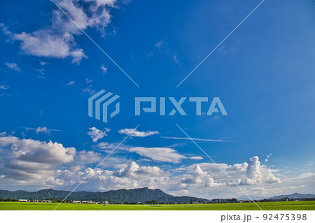 福井県立図書館 92475398