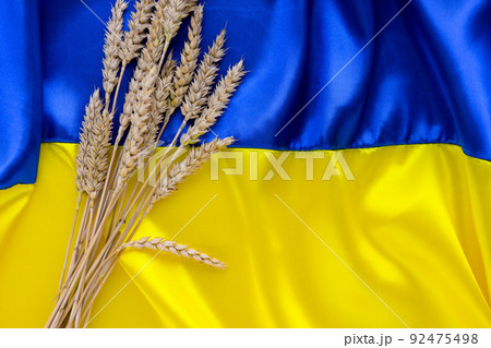 Fabric wave flag of Ukraine with wheat spikes. Blue and yellow bright colors Fabric wave flag of Ukraine with wheat spikes. Blue and yellow bright colors 92475498