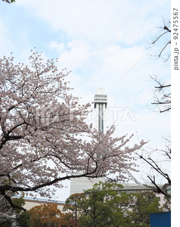 新川千本桜　船堀タワー　江戸川区新川 92475567