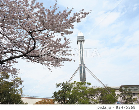 新川千本桜　船堀タワー　江戸川区新川 92475569